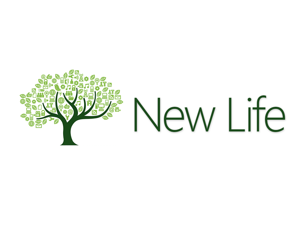 Empresa New Life